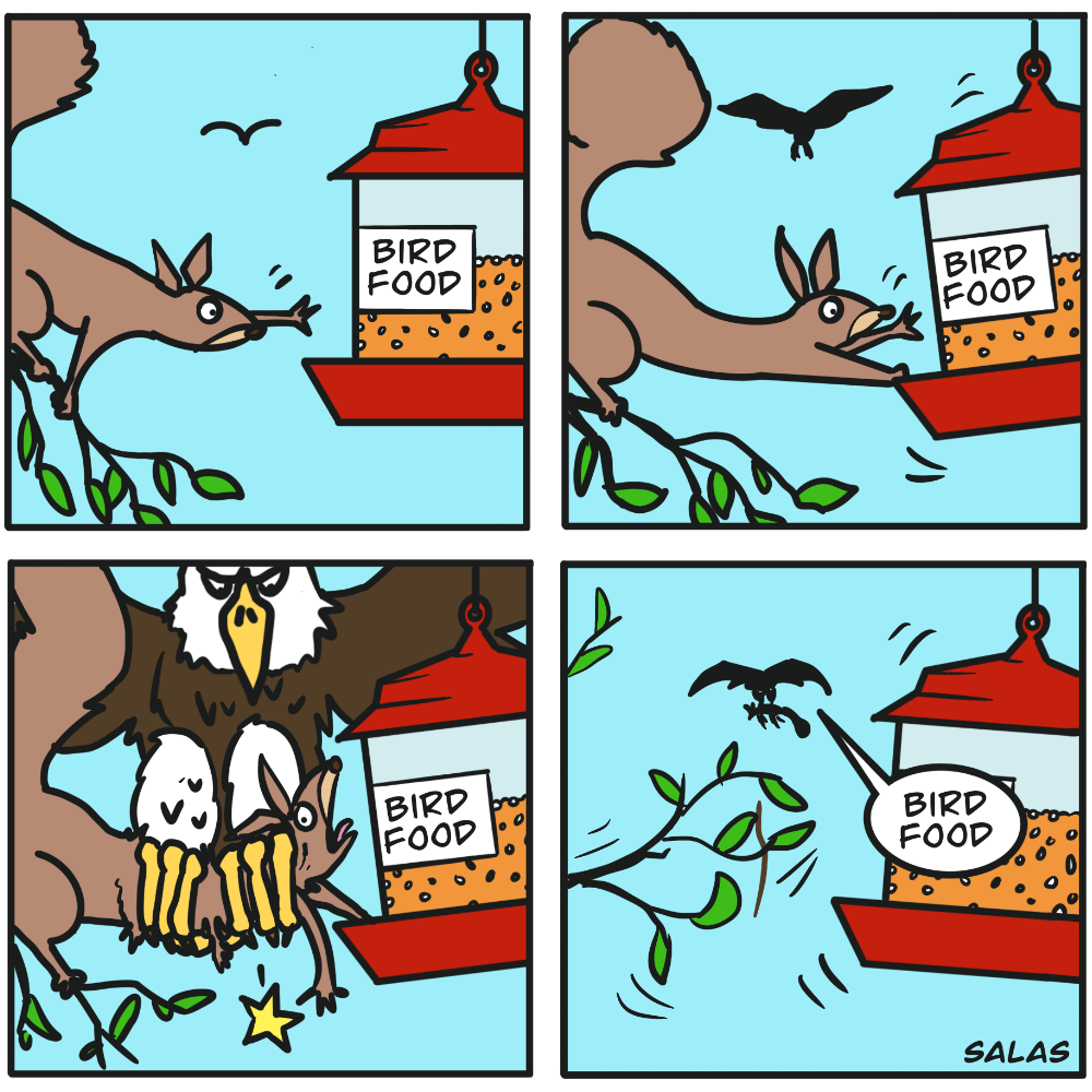 The Bottom Line: Bird Food